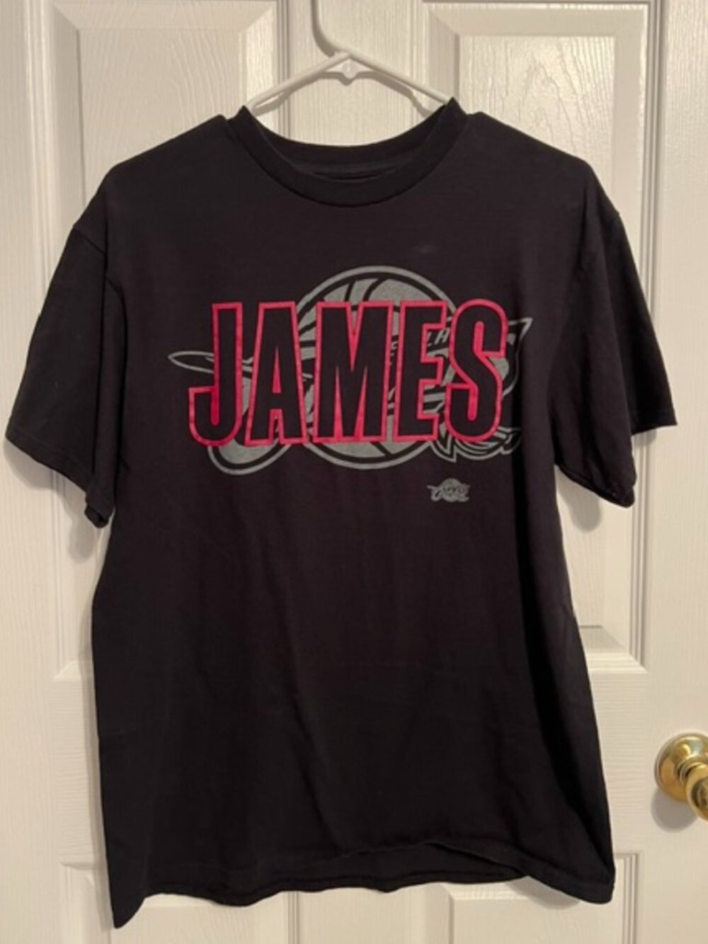 LeBron James CAVS NBA